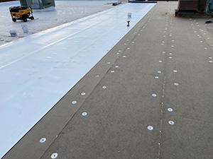 Single-Ply Roofing Systems