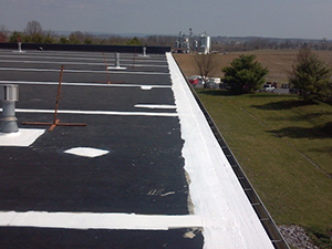 Flat Roof Caulking1