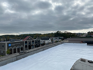 Roof Coating1