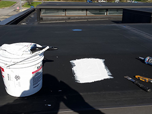 Flat Roof Caulking - Coeur D'Alene, ID 1