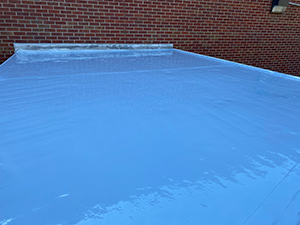 Roof Coating - Moscow, ID 1