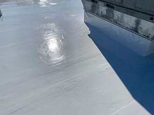 Flat Roof Coatings Moscow, ID 1
