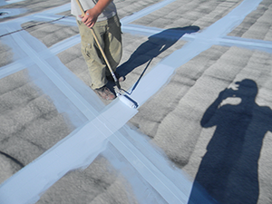 Roof Coating Sandpoint, ID 1